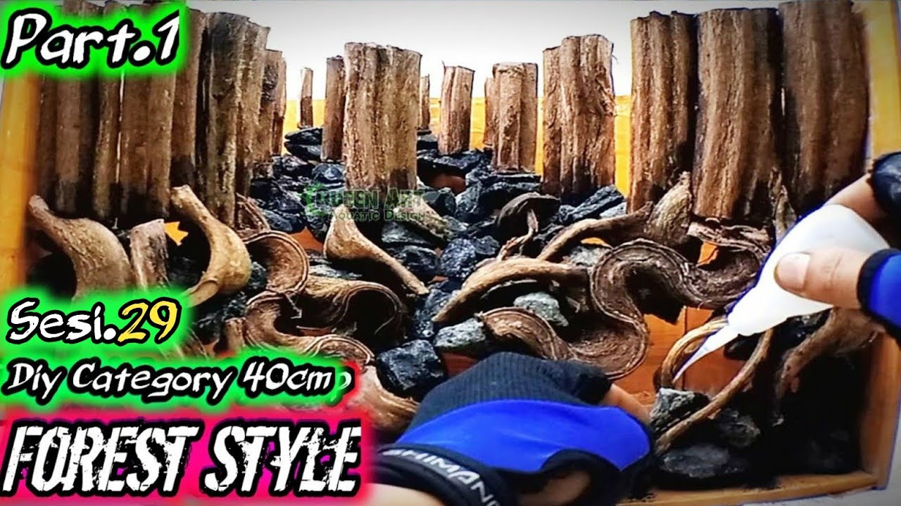 HOW TO MAKE A PINE FOREST AQUASCAPING | TRINIL ROOT - YouTube
