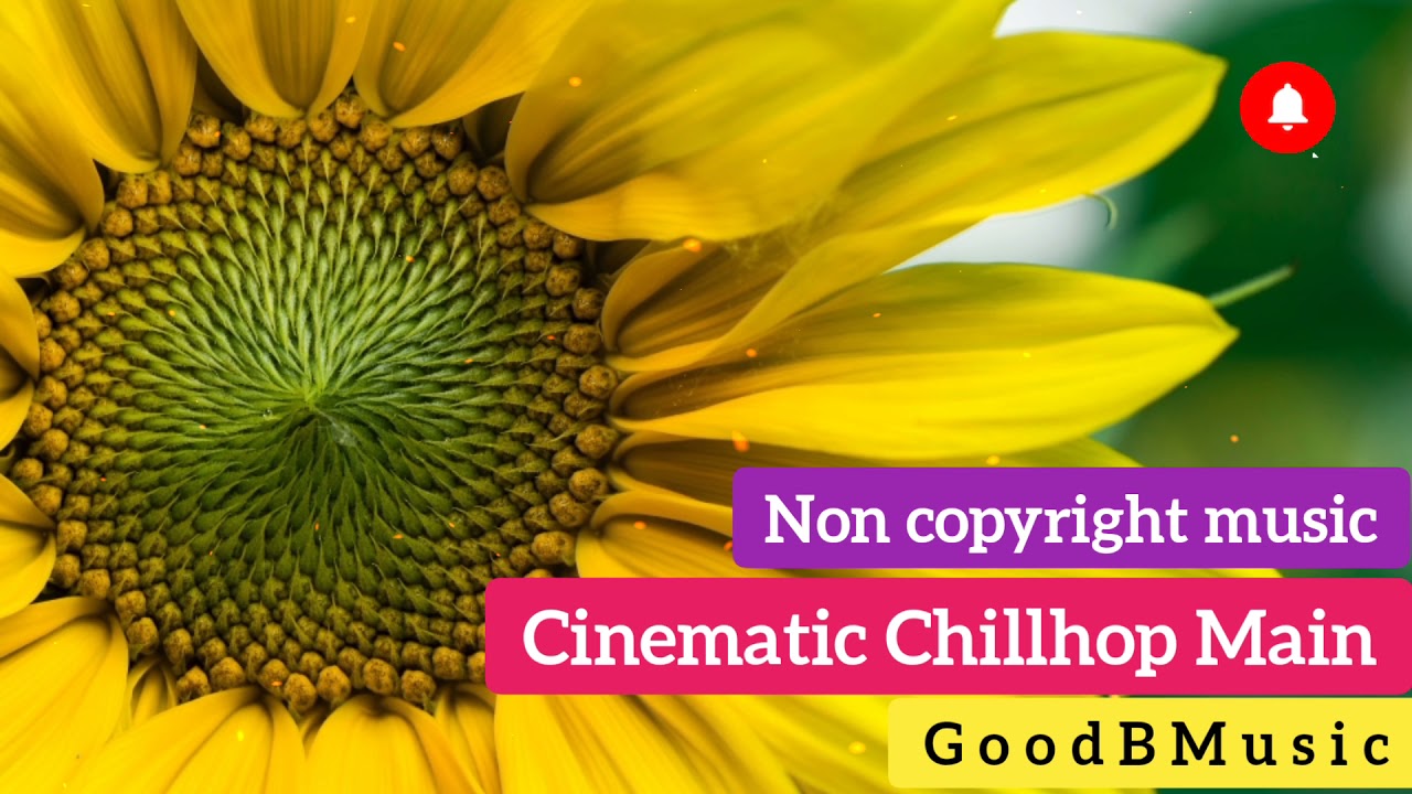 Non copyright music | Cinematic Chillhop Main - GoodBMusic
