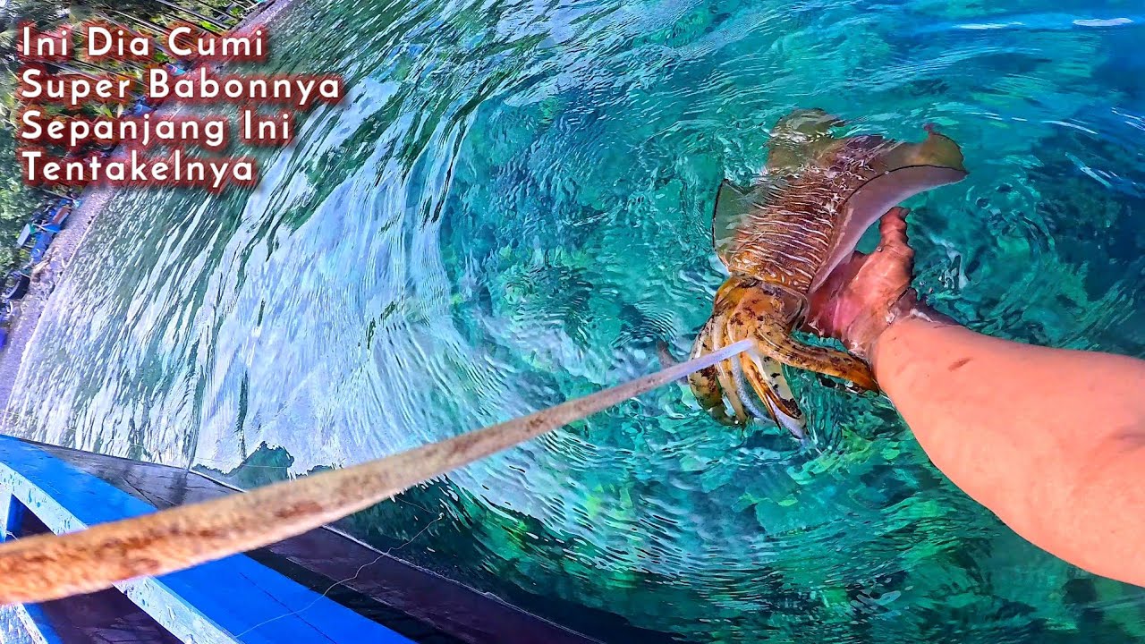 NGERIII..!! Ternyata spot ini memang di huni Banyakan CUMI SUPER BABON || Mancing cumi di pinggiran.