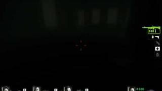 l4d2 - lighting bug? Net Worth