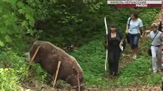 В Кинель-Черкассах прошел традиционный турнир по стрельбе из лука В Кинель-Черкассах прошел традиционный турнир по стрельбе из лука