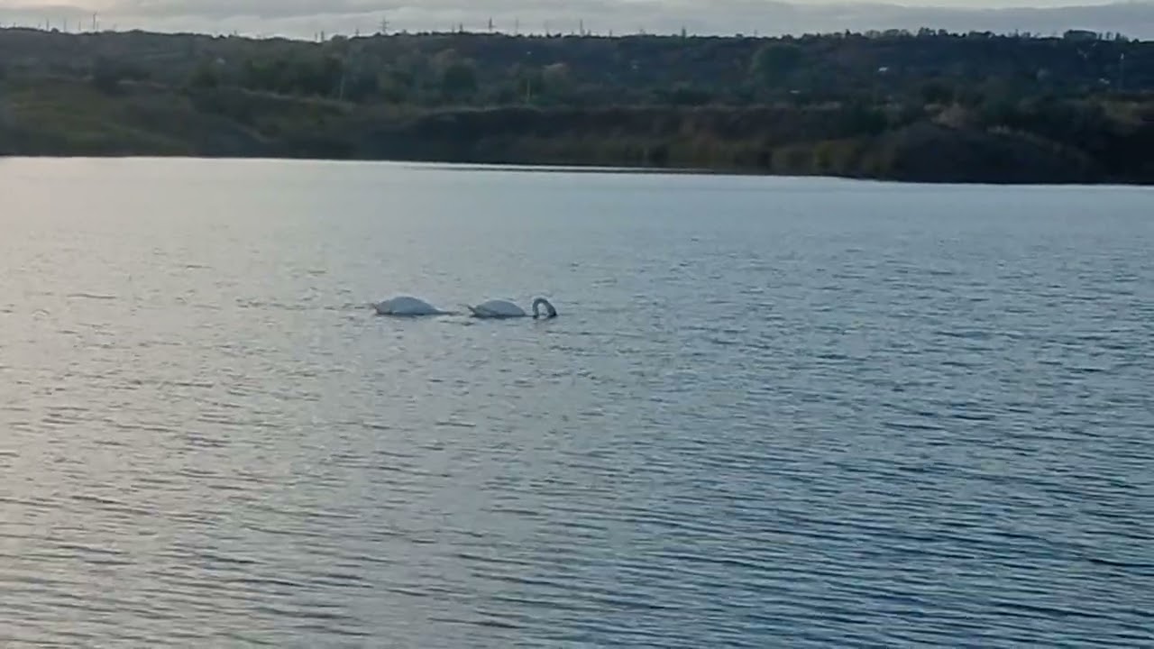 Где-то в Ульяновской области на рыбалке