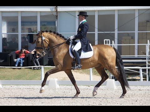 120415 Inter I Miguel Ralão com Doriot da Lagoalva Vilamoura CDI3*