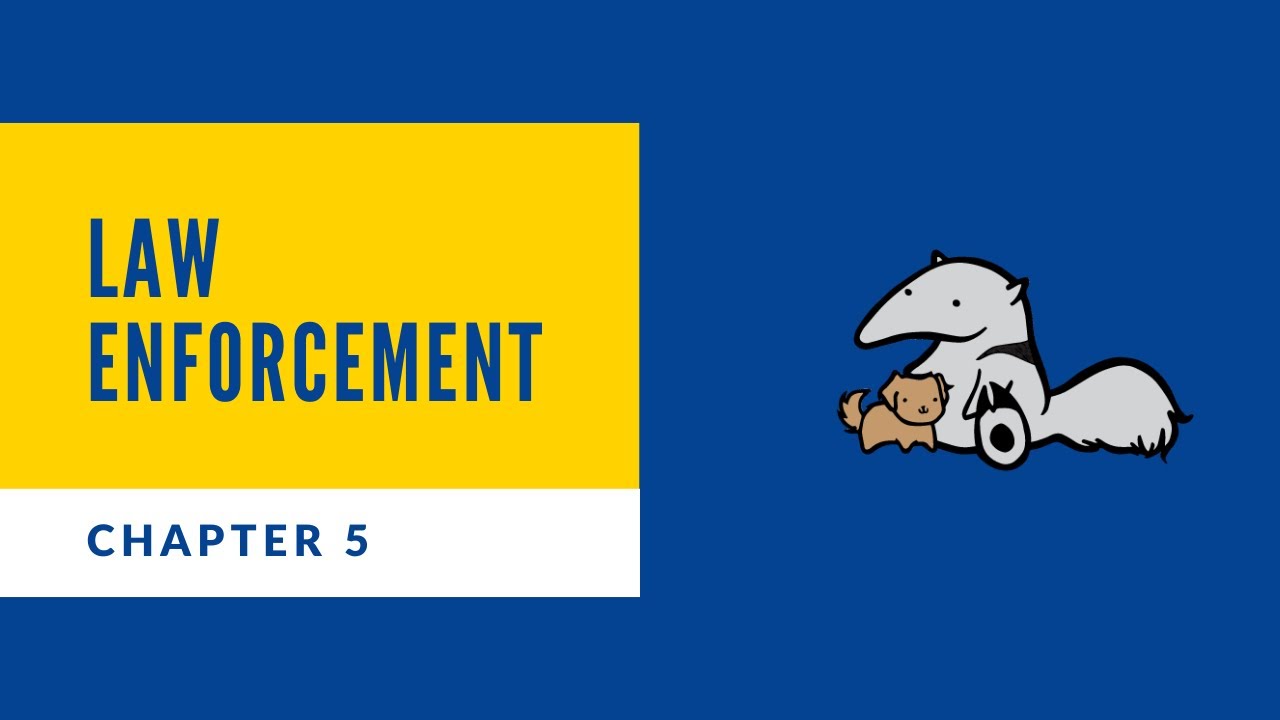 Chapter 5 Law Enforcement Police Call Classification
