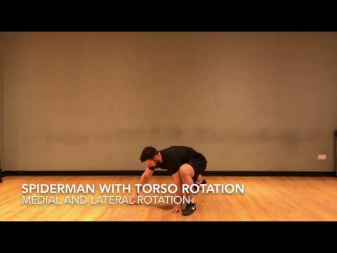 Spiderman with Torso