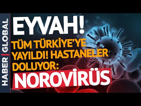 DİKKAT! Türkiye'de Yeni Bela! Korona Değil Norovirüs!