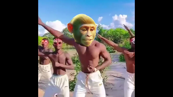 Epic Monkey Face Expression vs. Human Dancer Moves#shorts #monkeyvlog #shortsfeed #youtubeshorts