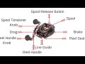 Low Profile Bait Casting Reel Explained 🐟🎣