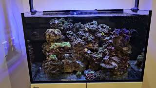 New Maxspect RazorX R5 Mounted on Old AI Hydra Rail