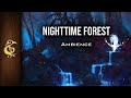 D&D Ambience | Nighttime Forest | Animals, Relaxing, Realistic, Owls, Nature, Soundscape