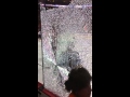 Tylers Myers breaks glass shooting at yelling Flyers fan!