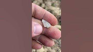 First time arrowhead hunting this year.