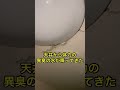 寝てたらいきなり天井落ちてきた　 #天井落下　#体力の水パート2