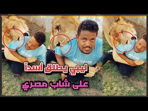 A Libyan Man Unleashed A Lion On An Egyptian Farm Worker Saying Free Yourself You Upper Egypt
