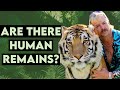 Dogs signaled in Joe Exotic's zoo...