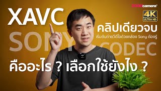 Sony XAVC คืออะไร ? เลือกใช้อย่างไร ? คลิปเดียวจบ เริ่มต้นถ่ายวีดีโอจริงจังด้วยกล้อง Sony ต้องรู้