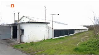 картинка: Защо да избираме български храни в магазините, „Бразди“ - 01.04.2023