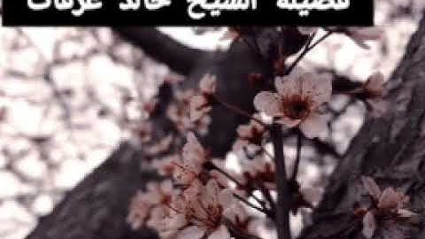 سورة الرحمن لفضيلة الشيخ خالد عرفات حفظه الله ورعاه