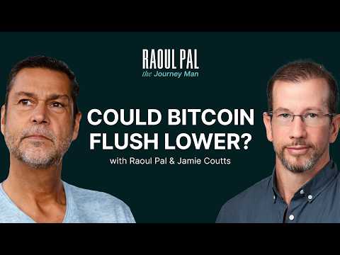 Bitcoin and Liquidity | Raoul Pal the Journey Man