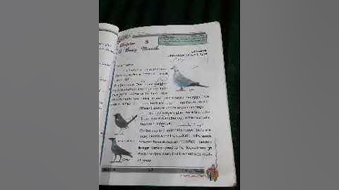 Class 4th Evs Topic  A busy month