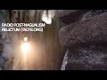 #039 ¦ Ксендзюк versus Кастанеда, специфика практики от Relictum