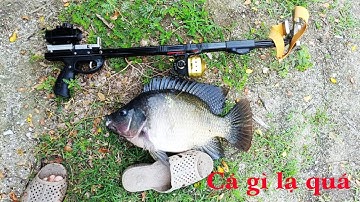 Một ngày bội thu toàn cá rô khủng - ná bắn cá v3