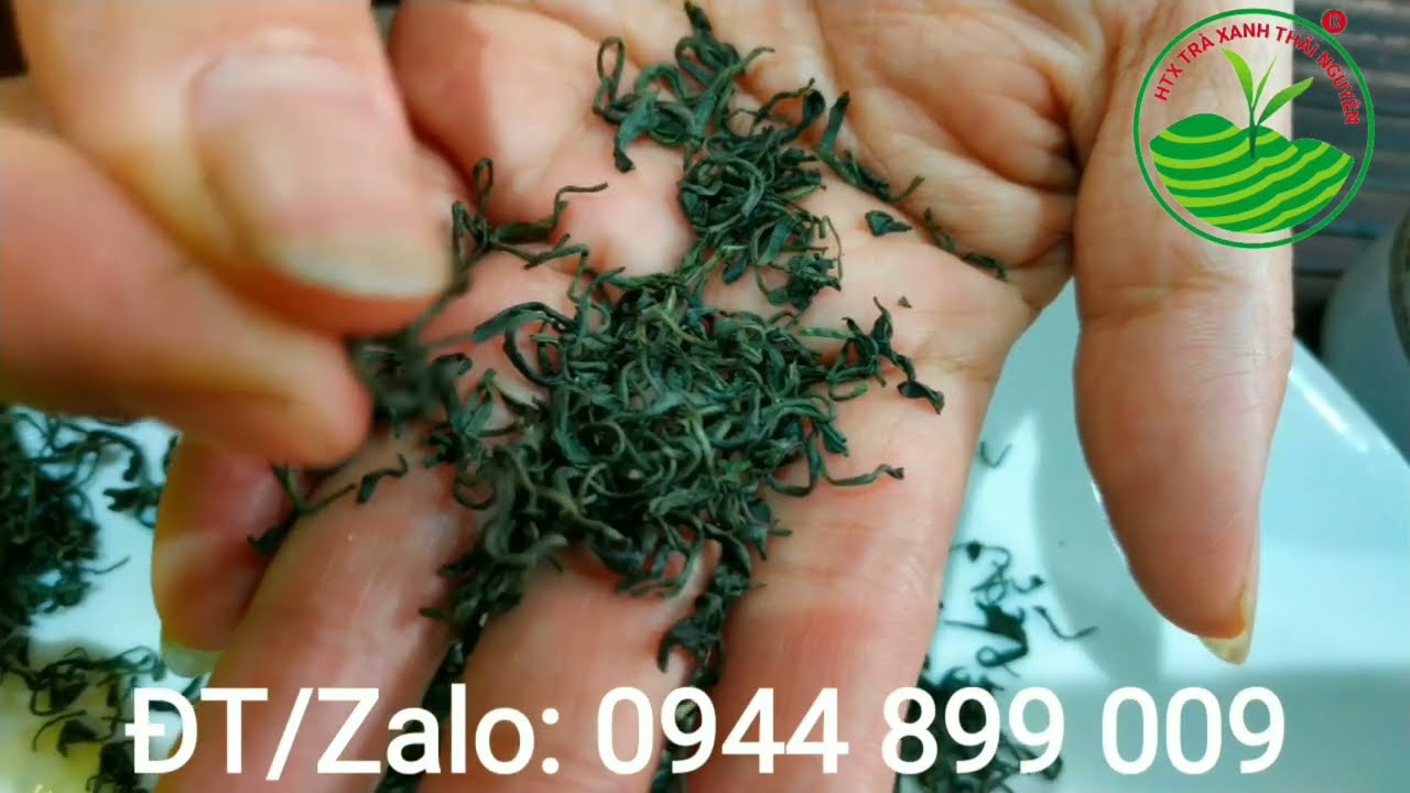 Top 10 loại trà non tôm ngon nhất Hướng dẫn chọn và pha trà
