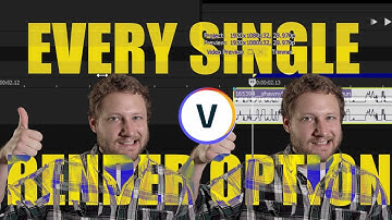 Learn EVERY SINGLE Render Option in VEGAS Pro 19