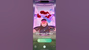 Pokémon GO - Dynamax Drilbur Raid