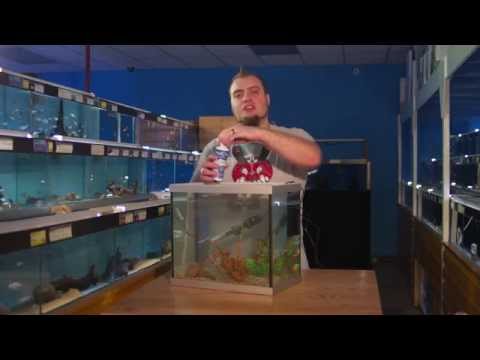 Wideo: Jak wyposażyć akwarium: praktyczne wskazówki i porady pielęgnacyjne