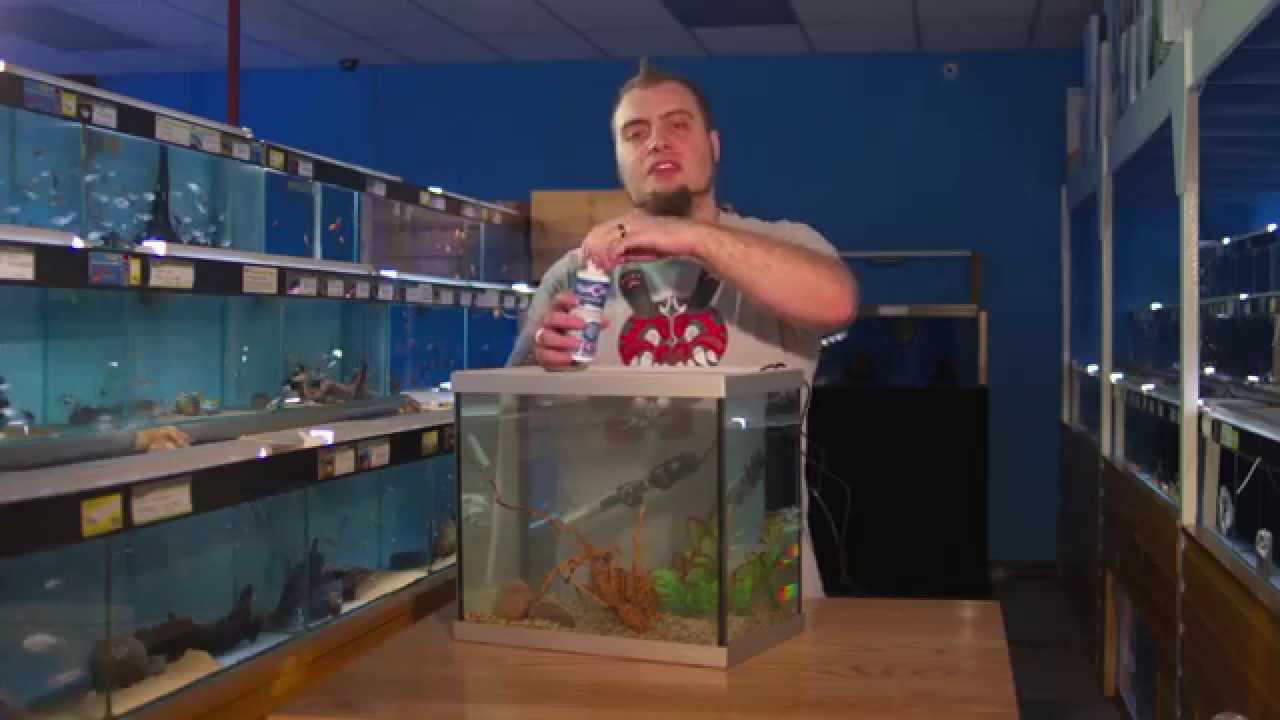 How to set up a FRESHWATER AQUARIUM: Beginners guide to your 1st Fish Tank  