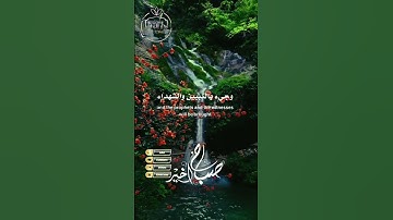 #دار_الوفاء #القرآن_الكريم #تلاوة_صوت_جميل_عذب #دار_القرآن #اكسبلور #دويتو #dar_lwafa# duet