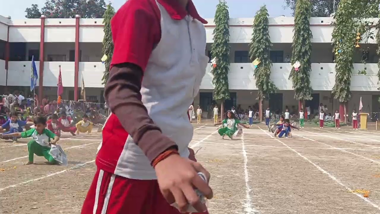 Duckling life cycle - cl 2