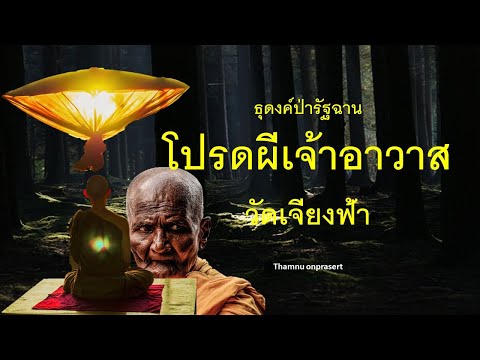 ๓๐๐.โปรดผีเจ้าอาวาสวัดเจียงฟ้า ธุดงค์ป่ารัฐฉาน