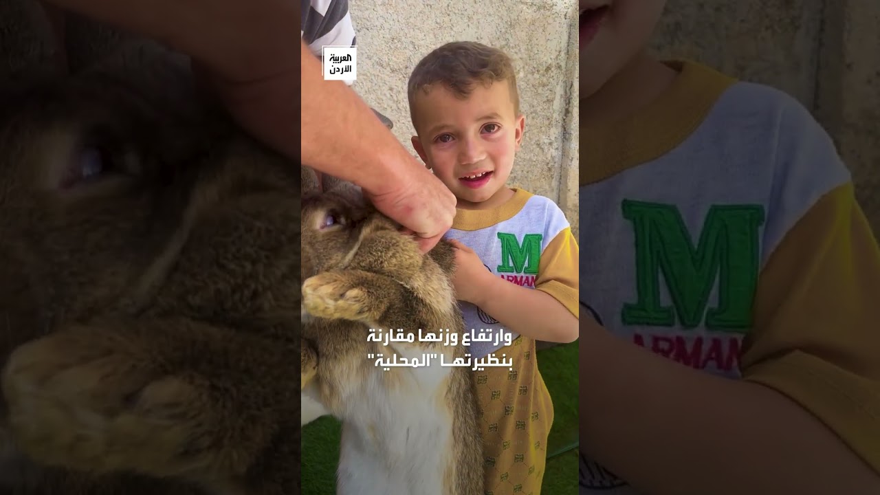 يصل وزن بعضها إلى 10 كيلو غرامات.. 