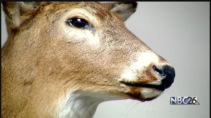 DNR asks hunters to be aware of CWD