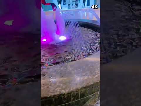 Daruurah Aqoonsigu Ma U Da Een