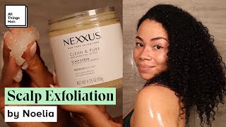 How to Exfoliate Your Scalp With Noelia | Scalp Exfoliation