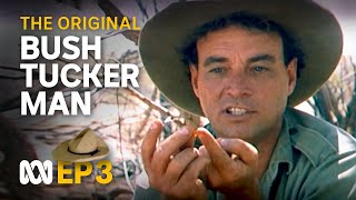 Finding food, water in the Tanami Desert 🤠🗺️ | Bush Tucker Man | S1 EP3 | ABC Australia