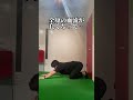 【死ぬほど体重落ちる】#ダイエット #下半身痩せ #くびれ #ダイエット女子