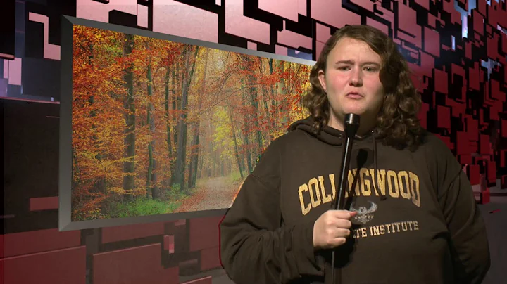 CCI AM: November 3rd, 2025