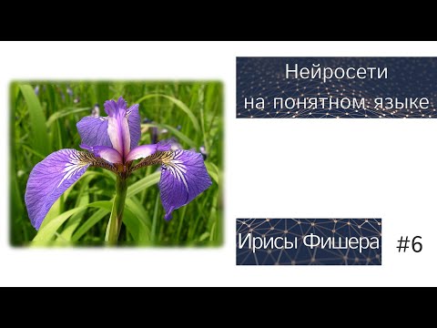 Нейронные Сети на Понятном Языке | Классификация Ирисов Фишера | #6