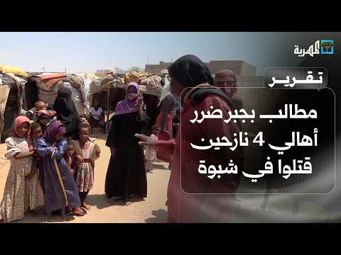 Families of four displaced brothers killed in Shabwa demand compensation and redress for their loss