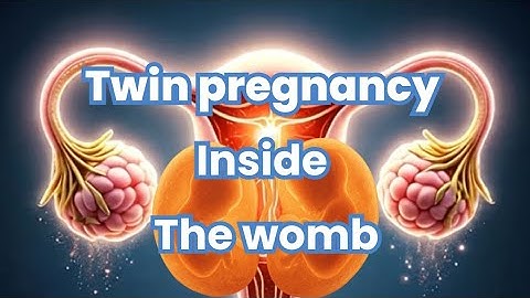 How Twins Are Formed | Fraternal vs Identical | Twin Pregnancy Explained with Animation