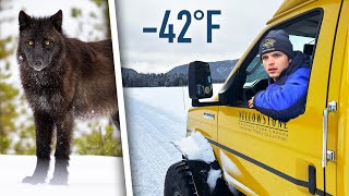 I Was a Yellowstone Snowcoach Driver for a Winter... This is What I Saw