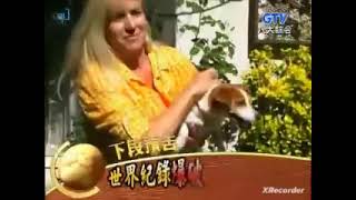 世界第一等20120809 Part3