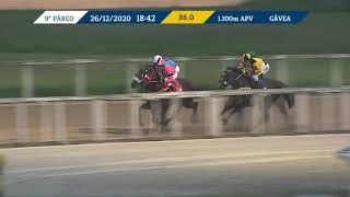 Vidéo de la course PMU PREMIO HEATHEN (INTERNET)