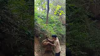 Tdana Ku Duga Dua Ekor Burung Ketankap