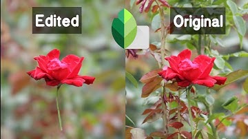Snapseed Tutorial | How To Blur Background Using Snapseed