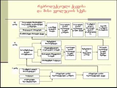 გ. წულაძე, დემოგრაფიის საფუძვლები VII (2)